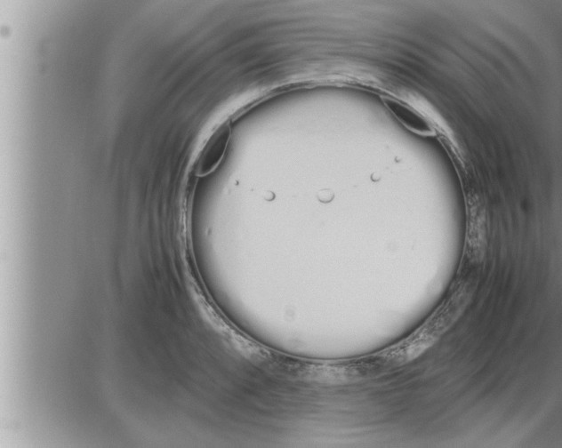 X0000086331088200704271936