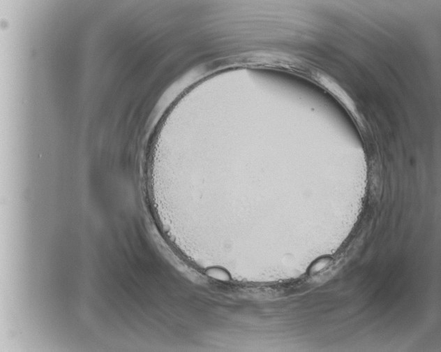 X0000086331091200704271936