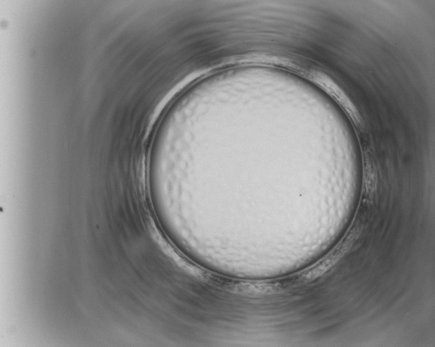 X0000086331092200704271936