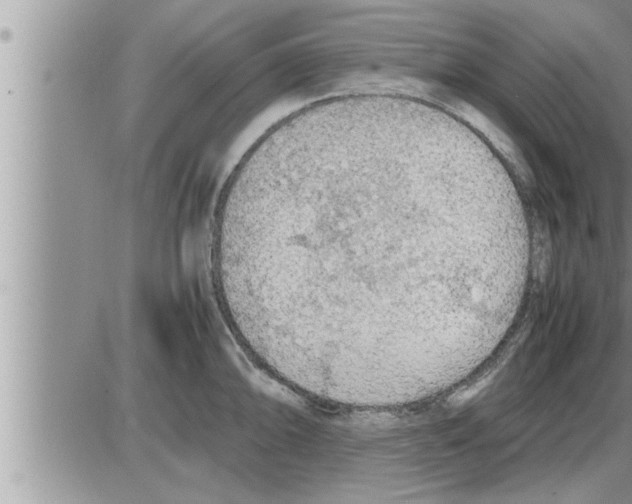 X0000086331094200704271936