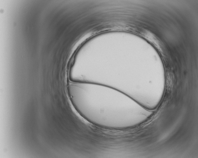 X0000086331095200704271936