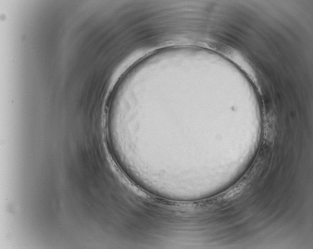 X0000086331096200704271936