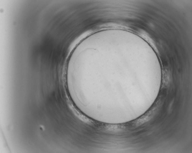 X0000086331098200704271936