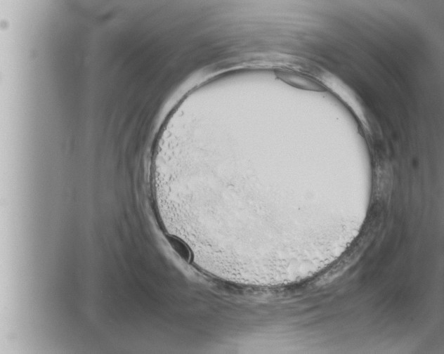 X0000086331099200704271936