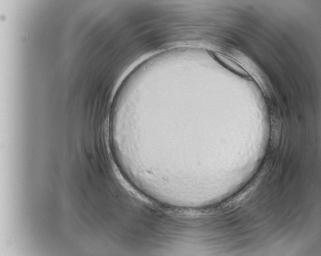 X0000086331100200704271936