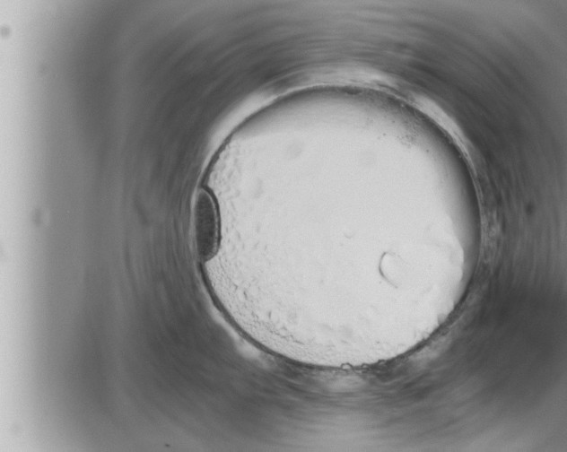 X0000086331103200704271936