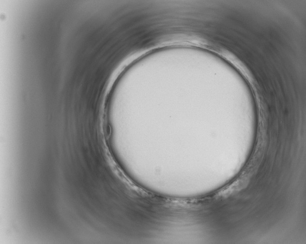 X0000086331104200704271936