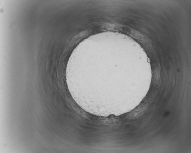 X0000086331105200704271935