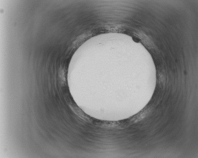 X0000086331106200704271935