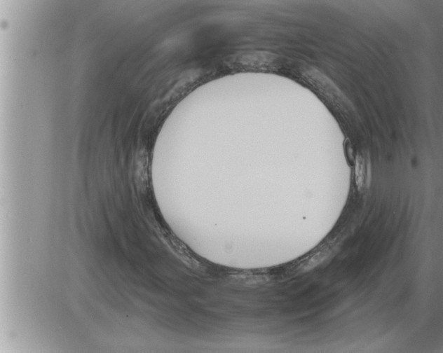 X0000086331107200704271935