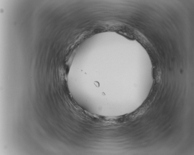 X0000086331108200704271935