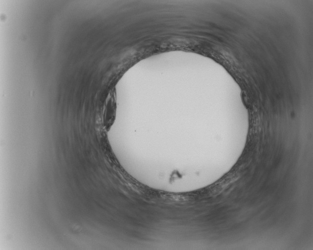 X0000086331109200704271935