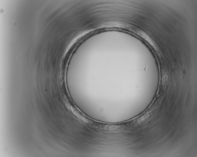 X0000086331116200704271935