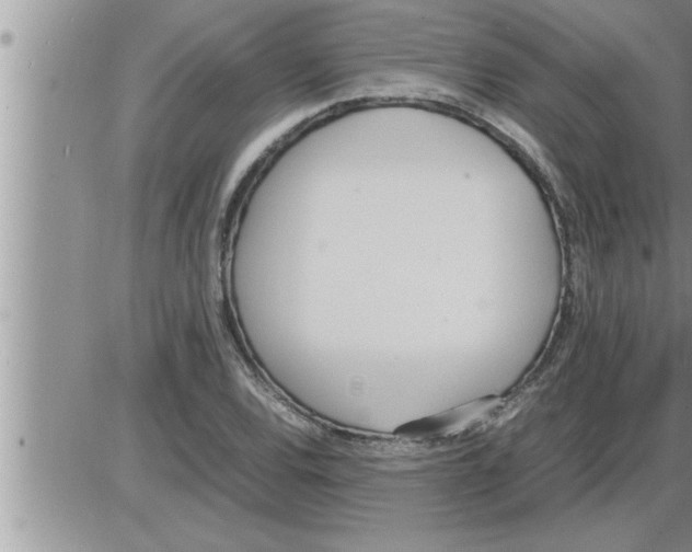 X0000086331120200704271935