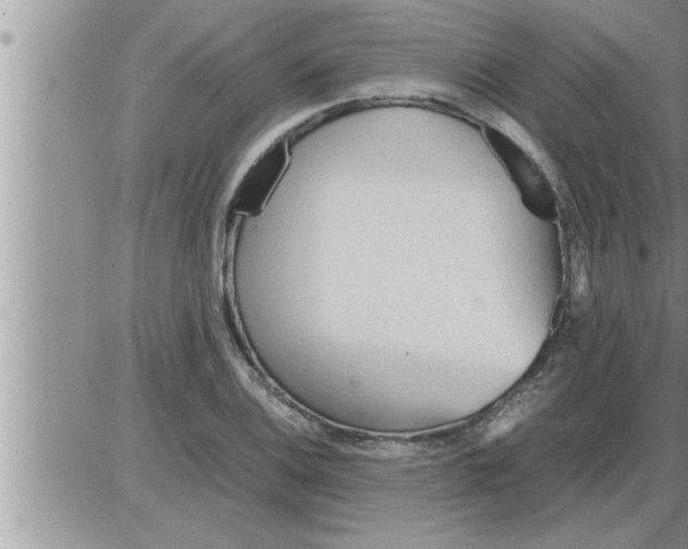 X0000086331124200704271935