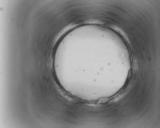 X0000086331125200704271935