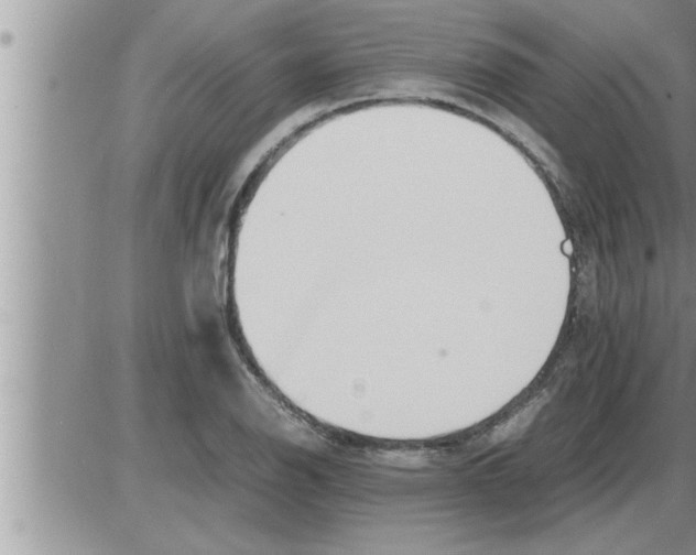 X0000086331126200704271935