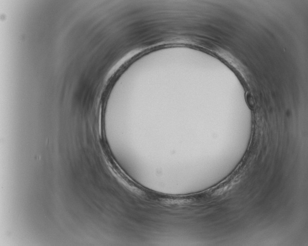 X0000086331127200704271935