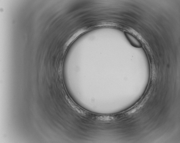 X0000086331137200704271935