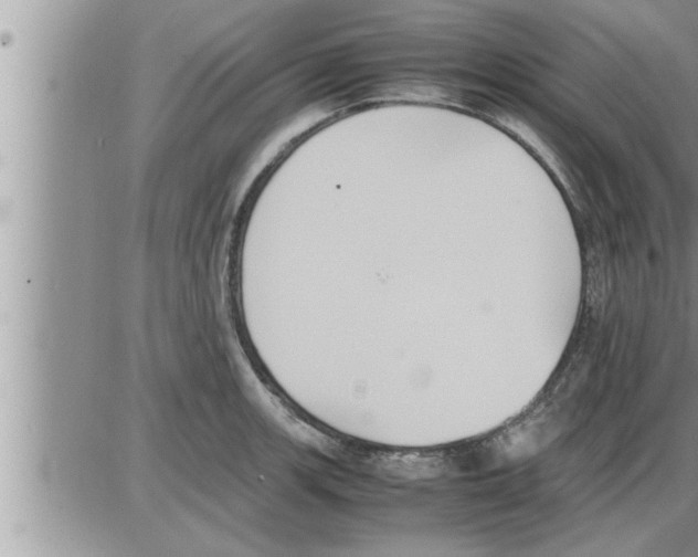 X0000086331139200704271936