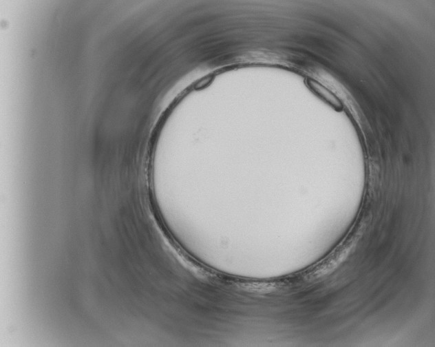 X0000086331141200704271936