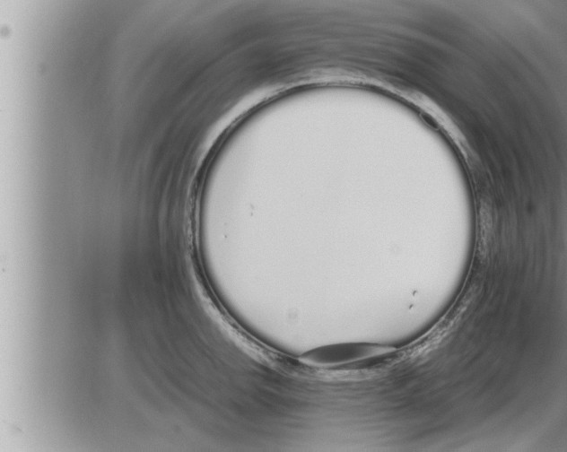 X0000086331142200704271936