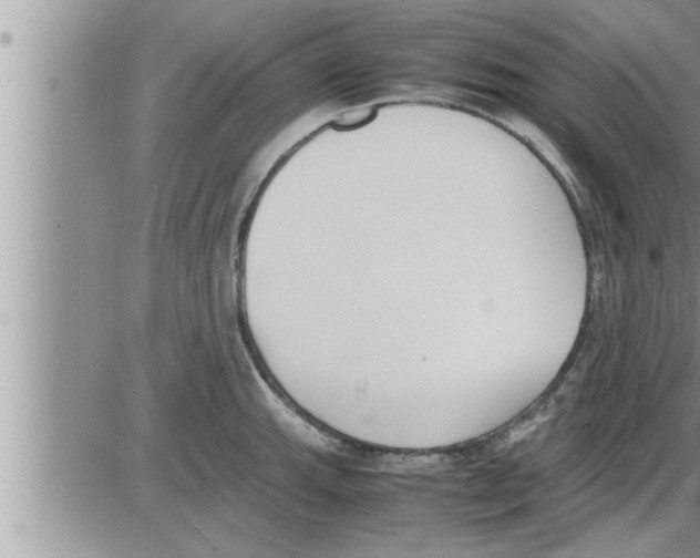 X0000086331143200704271936