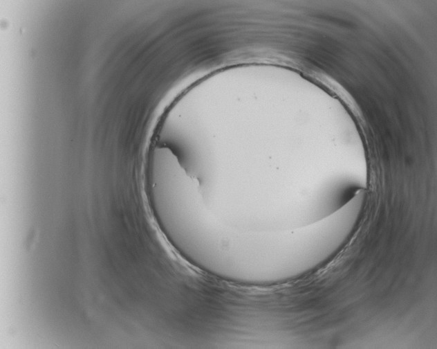 X0000086331144200704271936