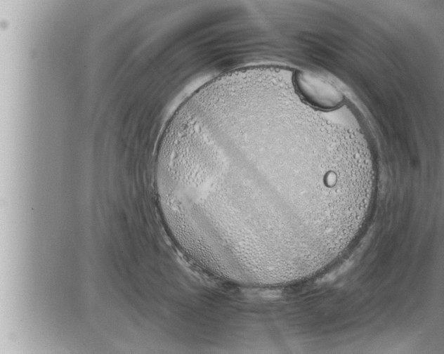 X0000086331145200704271936