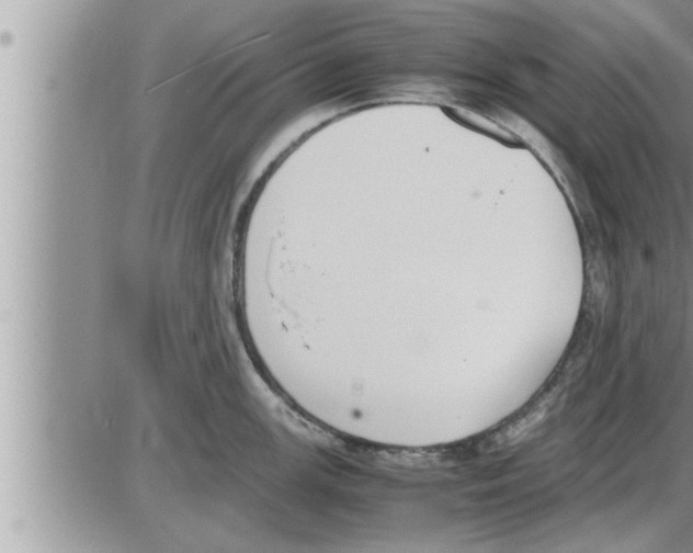 X0000086331147200704271936