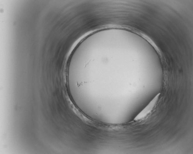 X0000086331148200704271936