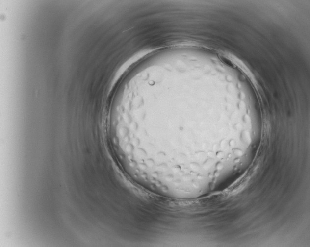 X0000086331149200704271936