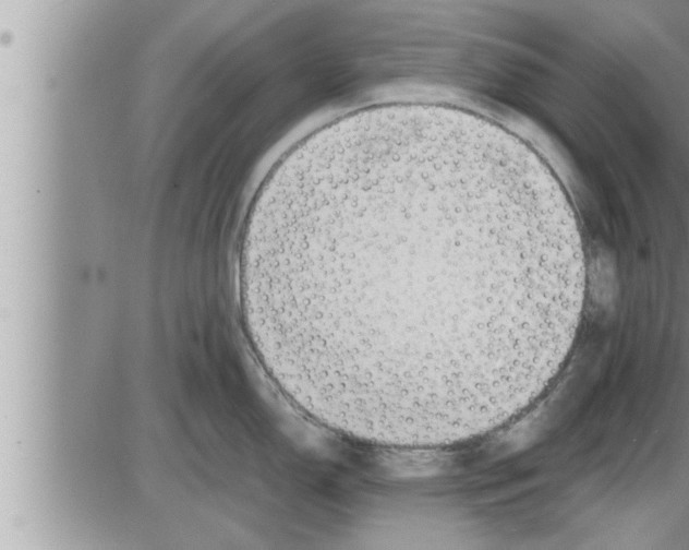 X0000086331150200704271936