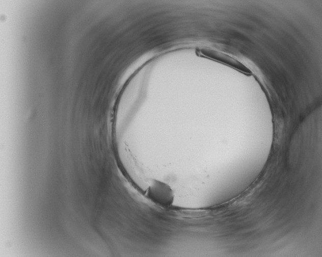 X0000086331151200704271936