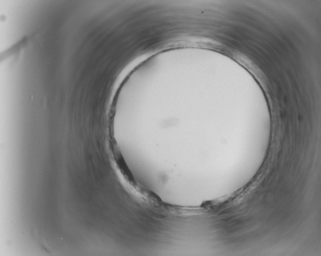 X0000086331152200704271936