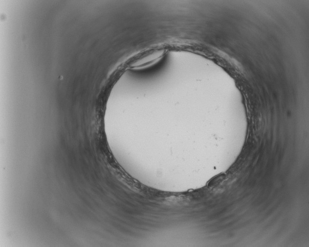 X0000086331160200704271935