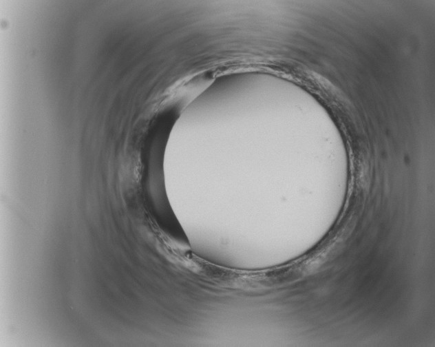 X0000086331161200704271935