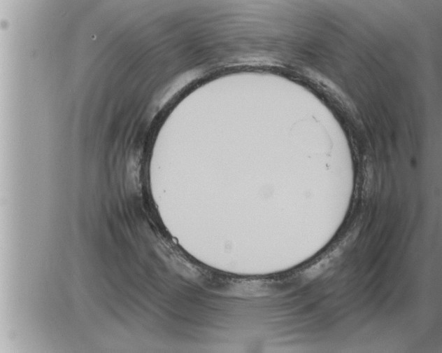 X0000086331162200704271935