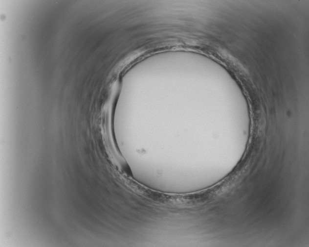 X0000086331169200704271935