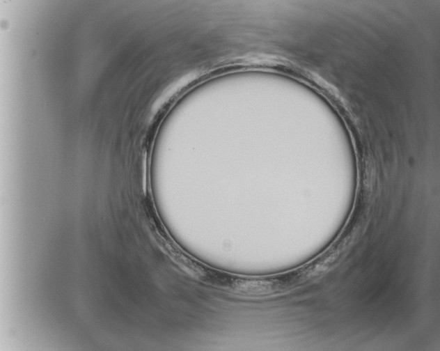 X0000086331171200704271935