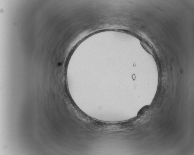 X0000086331173200704271935