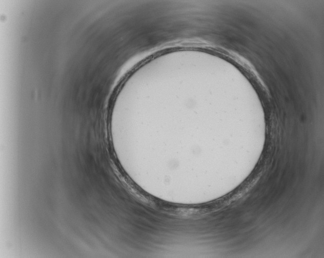 X0000086331176200704271935