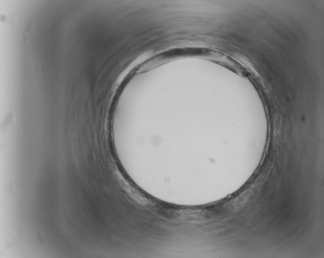 X0000086331181200704271935