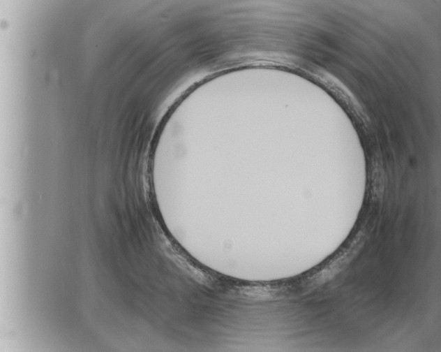 X0000086331182200704271934