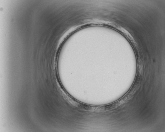 X0000086331183200704271934