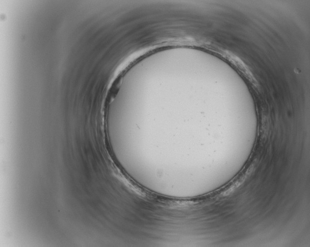 X0000086331184200704271934