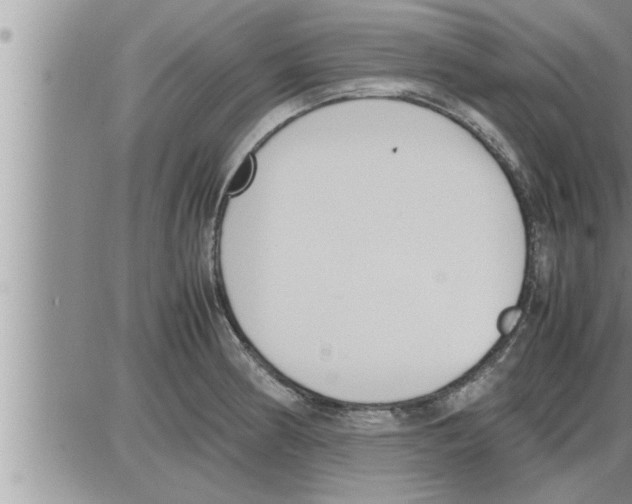 X0000086331186200704271934