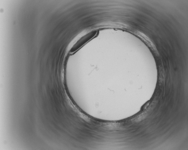 X0000086331188200704271934