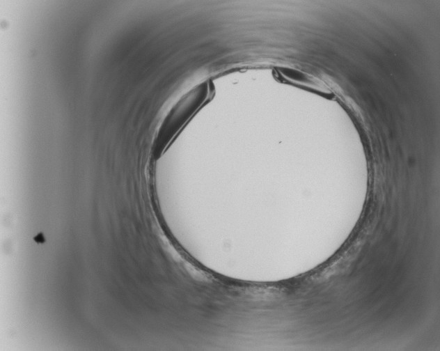 X0000086331189200704271934