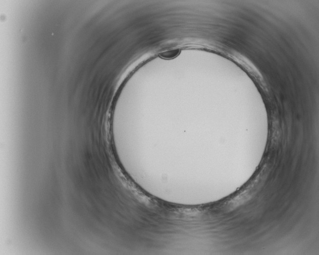 X0000086331190200704271934